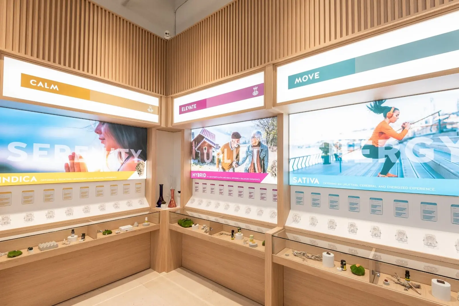 Menu displays at Seven Point Cannabis